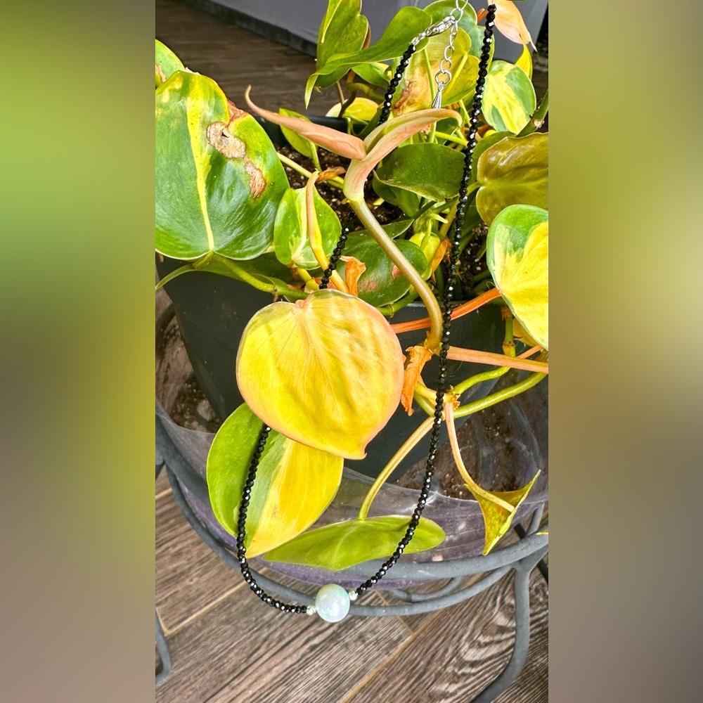 Black Beaded with Edison Freshwater Pearl Necklace